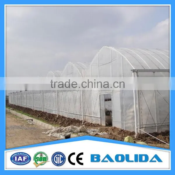 Multi Span Green Houses For Agriculture photo-4