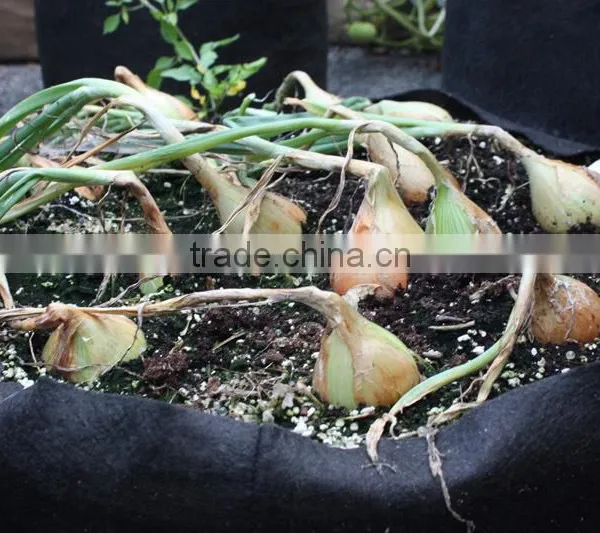 Tomato Planter Pot (1 Gal to 1200 Gal) photo-3