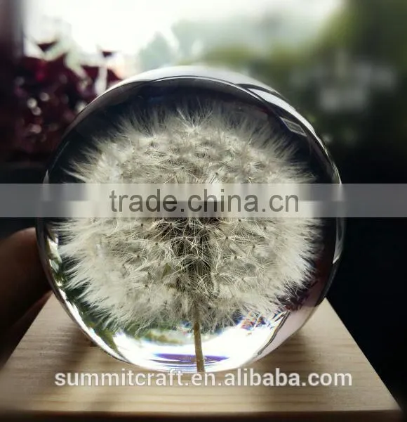 Custom Real Dandelion Paperweight Gift photo-2