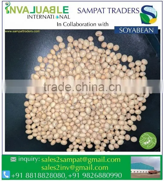 Soyabean