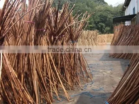 Raw Rattan Red Malacca Canes photo-4