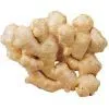 Ginger photo-2
