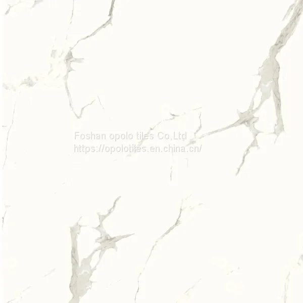 Glazed Porcelain Tiles 600X600 photo-5