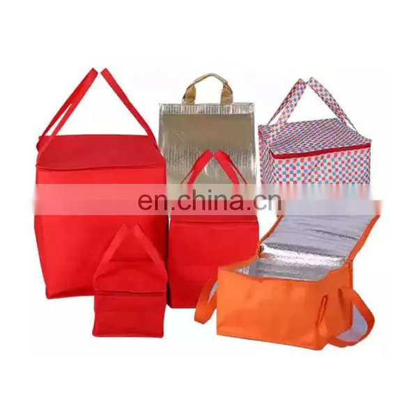 Guangzhou Custom Latest Superior Quality Non Woven Cooler Carry Bag photo-5