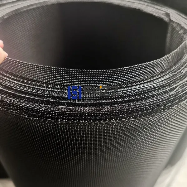 Powder Coated Black Woven Stainless Steel Wire Mesh for Insect Screen Aluminum Doors and Windows photo-2
