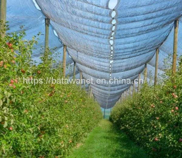 100% Virgin Material and Mould Plastic Anti Hail Net
