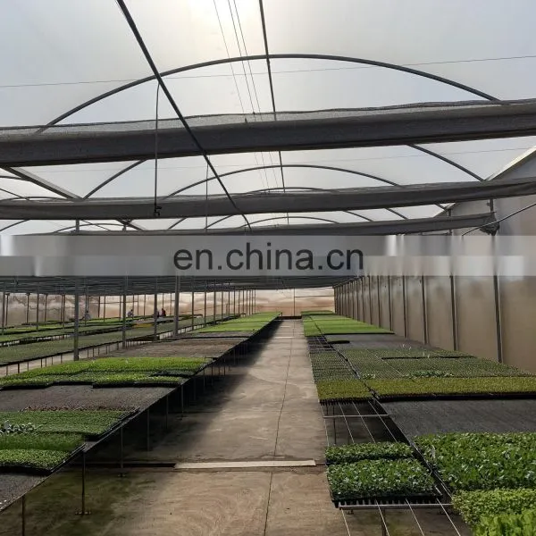 Aluminum Foil Netting 88gsm 75% Shading Greenhouse Inner Shade Mesh for Greenhouse Vegetables Energy Saving photo-5