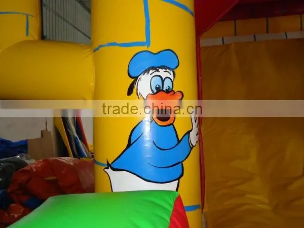 Best Quality Inflatable Water Slides Giant Inflatable Water Slide for Adult photo-5