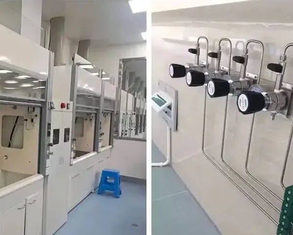 Laboratory Gas Pipeline Centralized Supply System Engineering Installation Gas Pipeline Renovation Piping Stainless Steel Pressure Reducing Valve photo-4