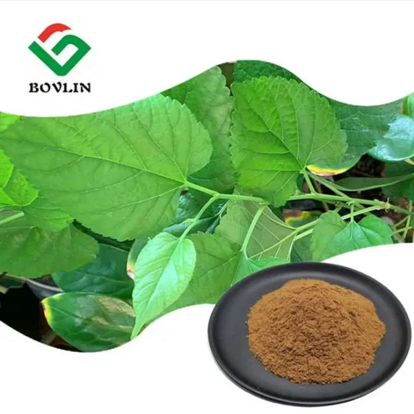 Mulberry Leaf Extract DNJ