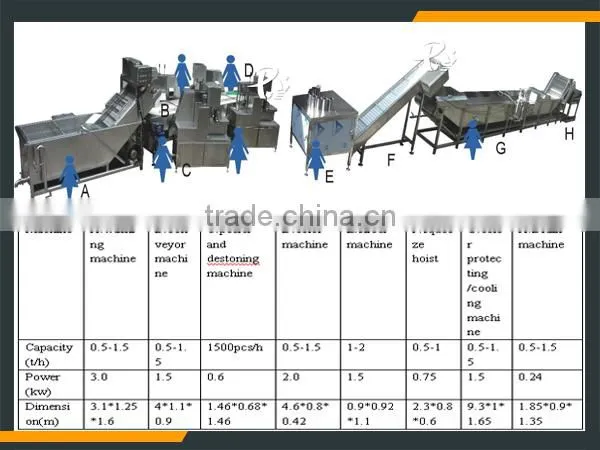 Dragon Fruit Processing Plant photo-3