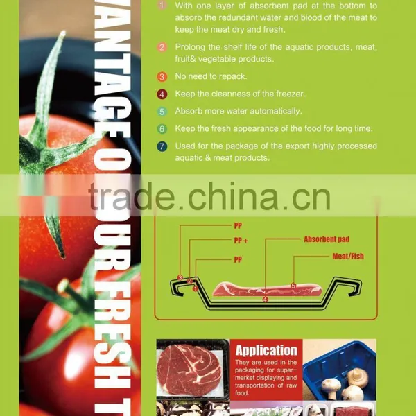 Fruit and Vegetable Packing Plastic Fruit Tray photo-4