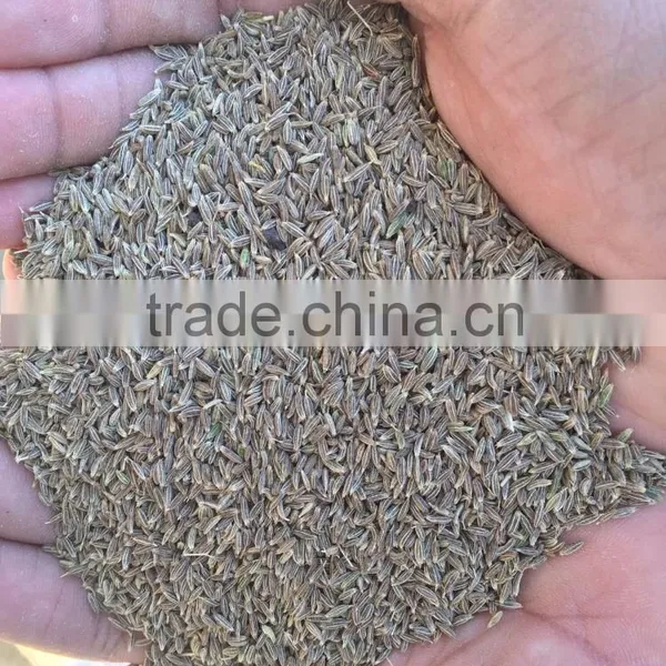 Cumin Seeds