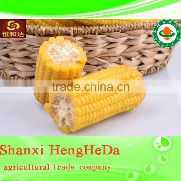 Carbon Fiber Yellow Corn for Animal Feed photo-6