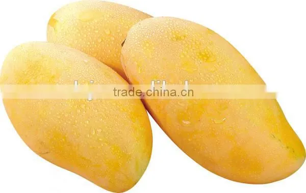 Mango Seed Removing Machine | Peeling Machine photo-3