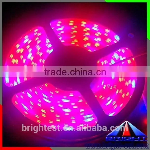 Led Grow Lighting,Led Grow Light Strip,Led Grow Lighting photo-4