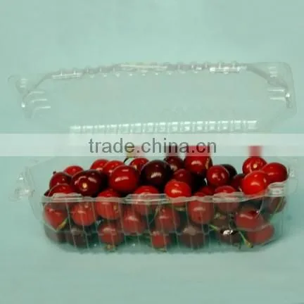 PET Plastic Cherry Box photo-2