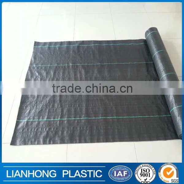 Agricultural pp Weed Mat Shipping From China photo-3
