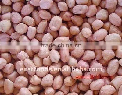 Round Type Peanut Kernel