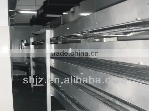 Sterilization and Conveyor Belt photo-2