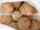 Semi Husked Cocount photo-6