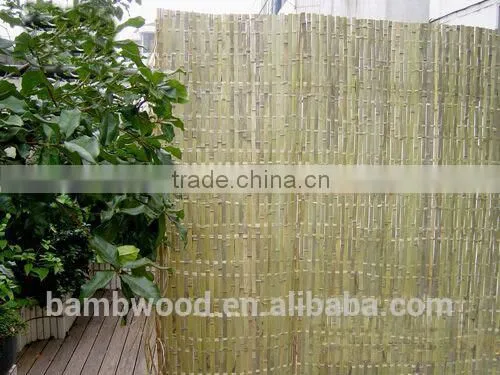 Bamboo Fence Wholesale photo-5