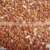 High Quality Sorghum