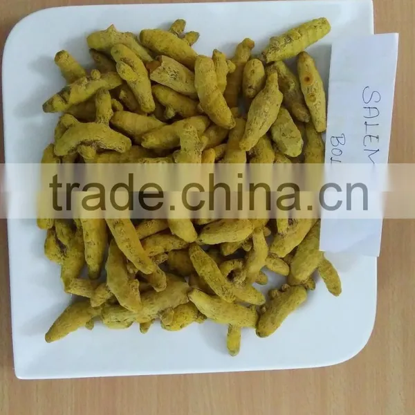 Excellent Grade & Excellent Quality Of Salem Turmeric Finger photo-6