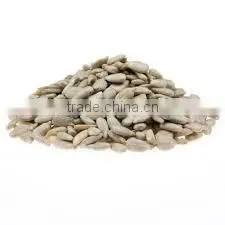 Sunflower Kernels With Good Price Bakery Type Sunflower Seeds photo-3