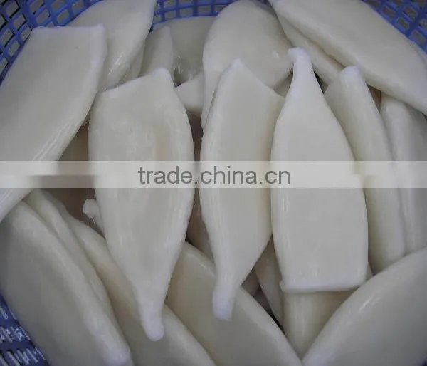 Frozen Squid Tube Fish U5 photo-3