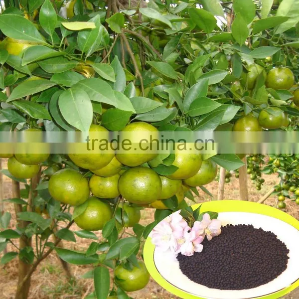 Crops and Plants Conbined NPK With TE Names Microbial Fertilizer photo-5
