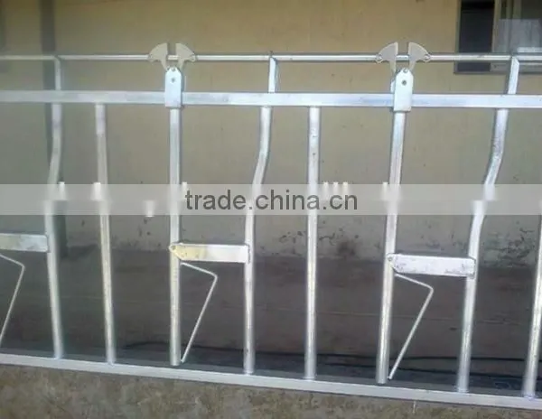 Agricultural Equipment Cow Feeder