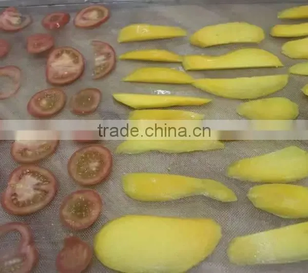 Mango Drying Machine /mango Dryer Over /mango Slice Dryer Machine photo-4