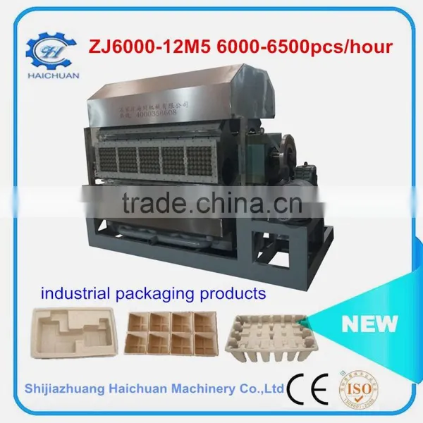 Hebei Paper Pulp Egg Carton Machine Thermoforming Complete Making Line photo-4