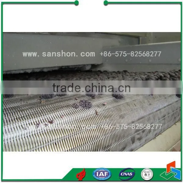 China Vegetable Processing Washing Line,Frozen Vegetable And Fruit Production Line,Vegetable IQF Freezing Line Machine photo-5