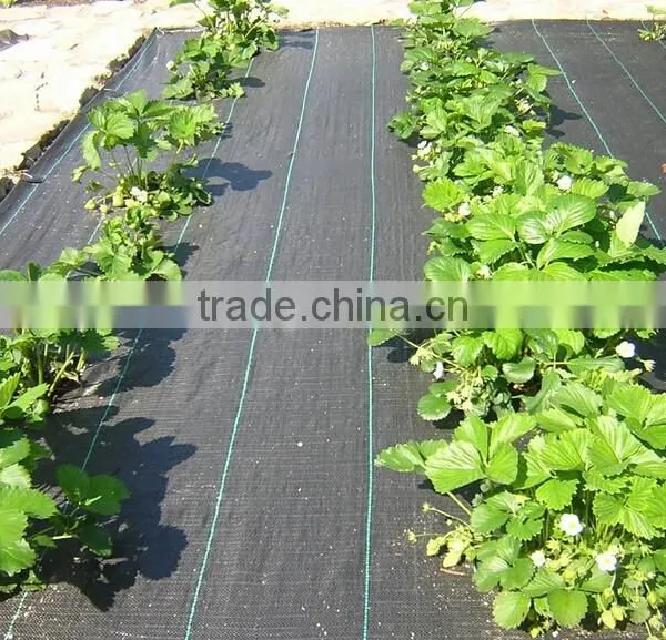 Heavy Duty Weed Bolck Landscape Fabric photo-3