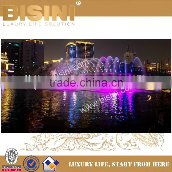 BISINI Professional Installation for Steel Structure Bridge, Design Construction Double Arc Steel Bridge (BF08-Y10045) photo-6