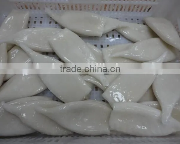 Frozen Tordarodes and Argentina Squid Tube U10,U5 photo-4