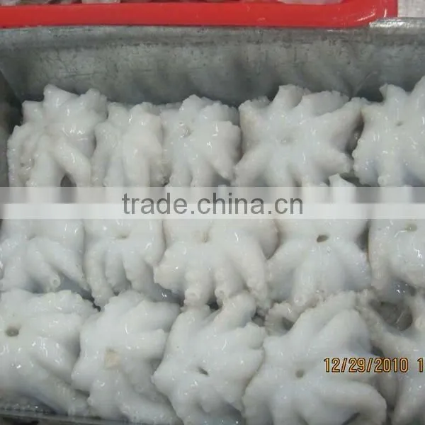 Baby Octopus/ Frozen Baby Octopus photo-3