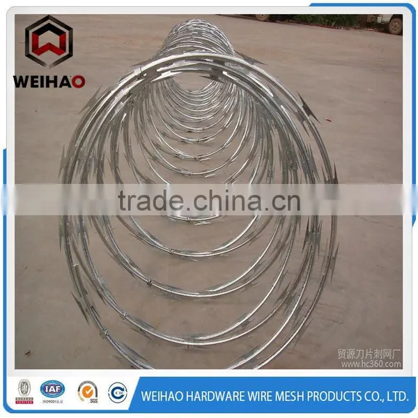 Razor Barbed Wire Used in Playground as Barrier photo-2