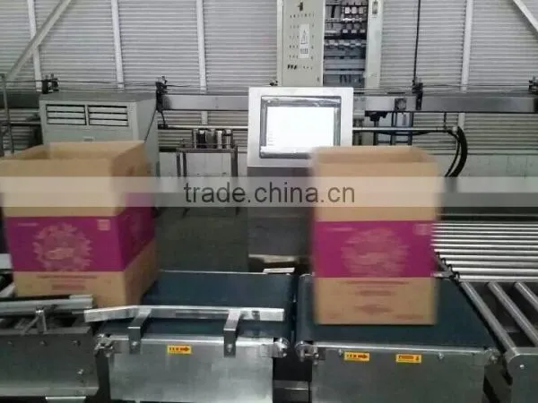Conveyor Check Weigher.online Weigher Check Machine photo-2