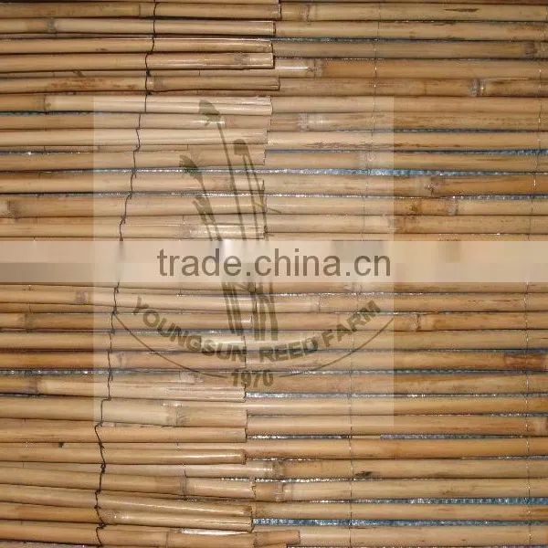 Bamboo Fence photo-5