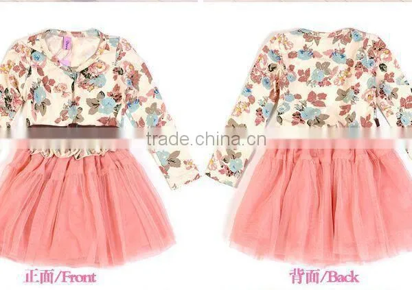 Free Shipping New Girls Baby Kids Toddlers Summer Floral Print Dress Bow Sleeveless Long Sleeve Tutu Dress Children's Clothing photo-3