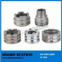 PPR Fitting Brass Threaded Insert