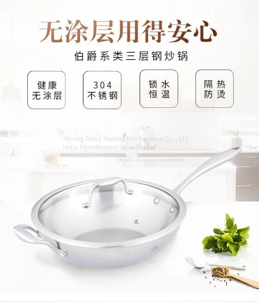 Stainless Steel Wok