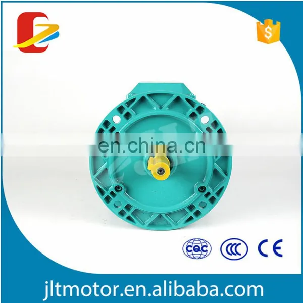 Motor Electrico High Efficiency IE1 IE2 IE3 WEG SIEMENS ABB Motors photo-7