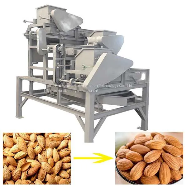 Almonds Cracking Industrial Machine Services Business a Hood Idea in Tunisia | Almond Shelling Machine photo-4