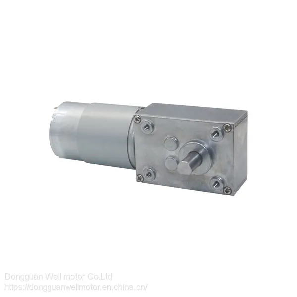 4058 dc Worm Geared Reduction Motor With Encoder Dual Shaft High Torque Geared Motor photo-4