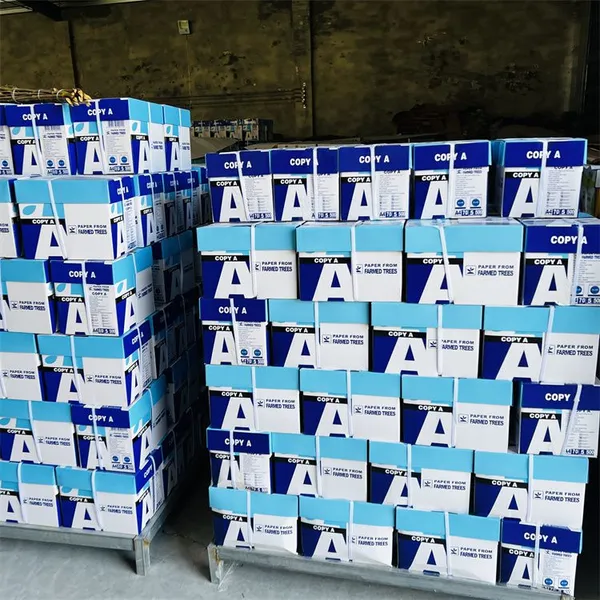 A4 Copy Paper / A4 Copy Paper 70/75/80 GSM Top Grade Best Price Whatsapp:+8617263571957 photo-5