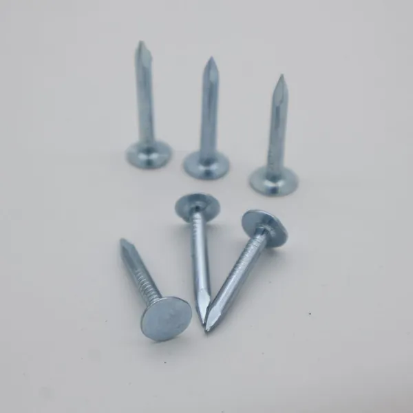 Hot-Dip Galvanized Felt Nails for Roofing and Insulation Applications
